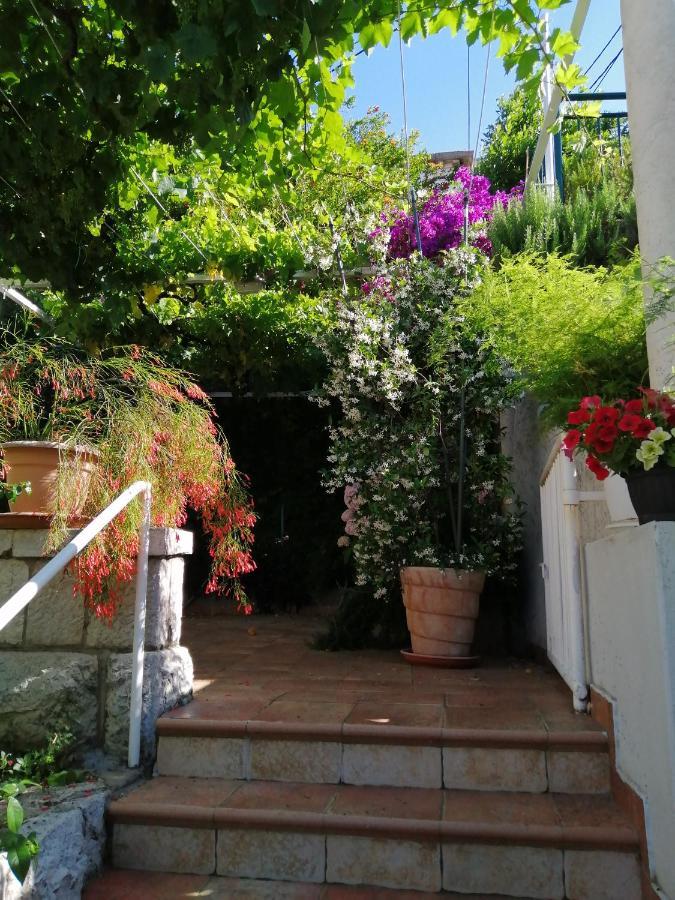 Apartments Jelen Dubrovnik Buitenkant foto